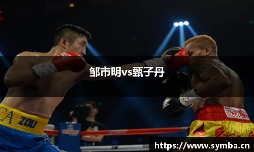 邹市明vs甄子丹