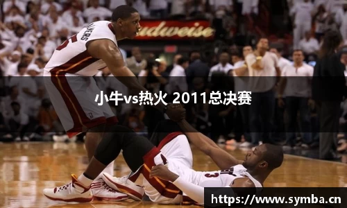 小牛vs热火 2011总决赛