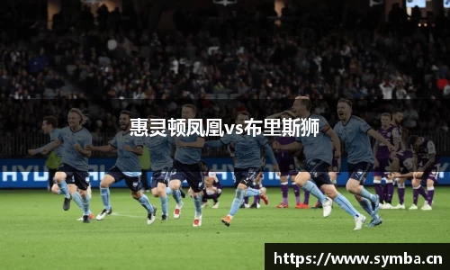 惠灵顿凤凰vs布里斯狮