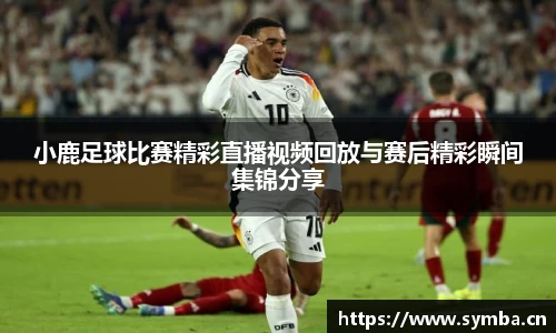 小鹿足球比赛精彩直播视频回放与赛后精彩瞬间集锦分享