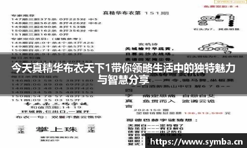 今天真精华布衣天下1带你领略生活中的独特魅力与智慧分享